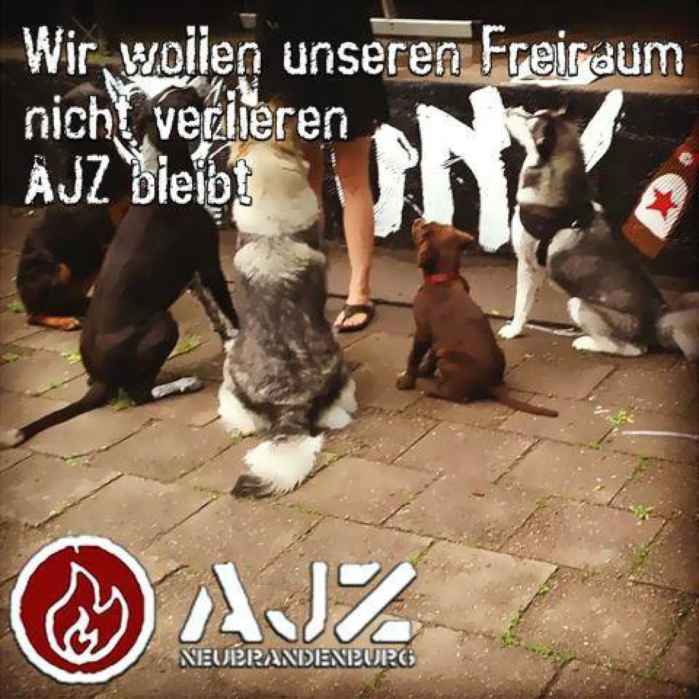bild0_1402604038.jpg &ndash; Bild 11